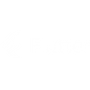 FLUTTER Logo